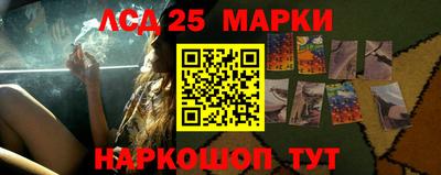 шишки Лесосибирск