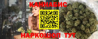 шишки Лесосибирск