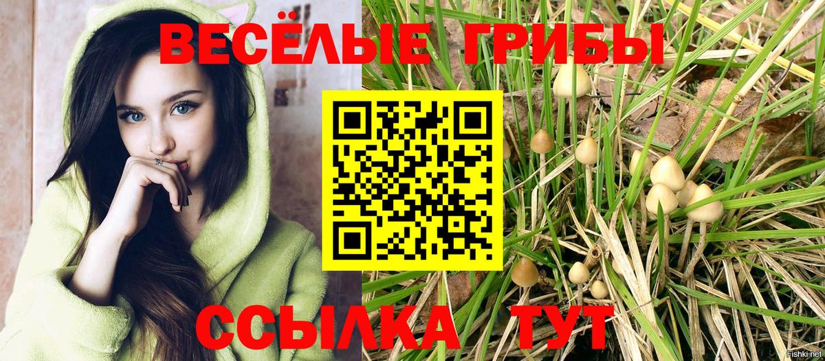 Дербент  Псилоцибиновые грибы Magic Shrooms  Вход с VPN 